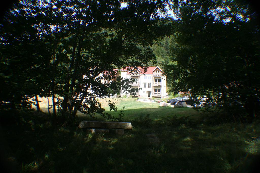 Residence Du Chateau Lublin La Bresse Exterior photo